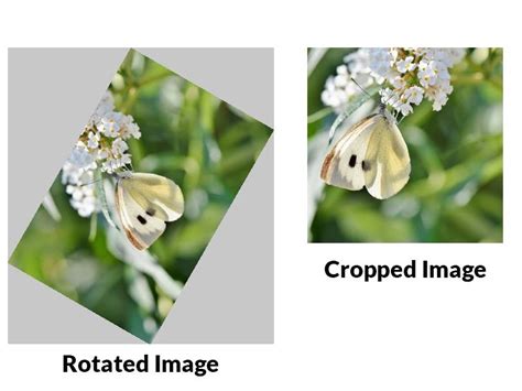 php crop image|php gd generate cropped thumbnail.